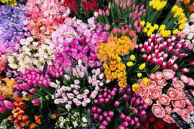 《人中之龙８外传 Pirates in Hawaii》最新资讯公开：介绍初期剧情和主要人物等